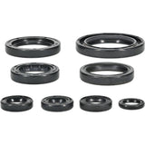 Vertex Oil Seal Kit 822996