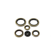 Vertex Oil Seal Kit 822370
