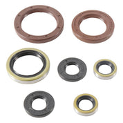 Vertex Oil Seal Kit 822372