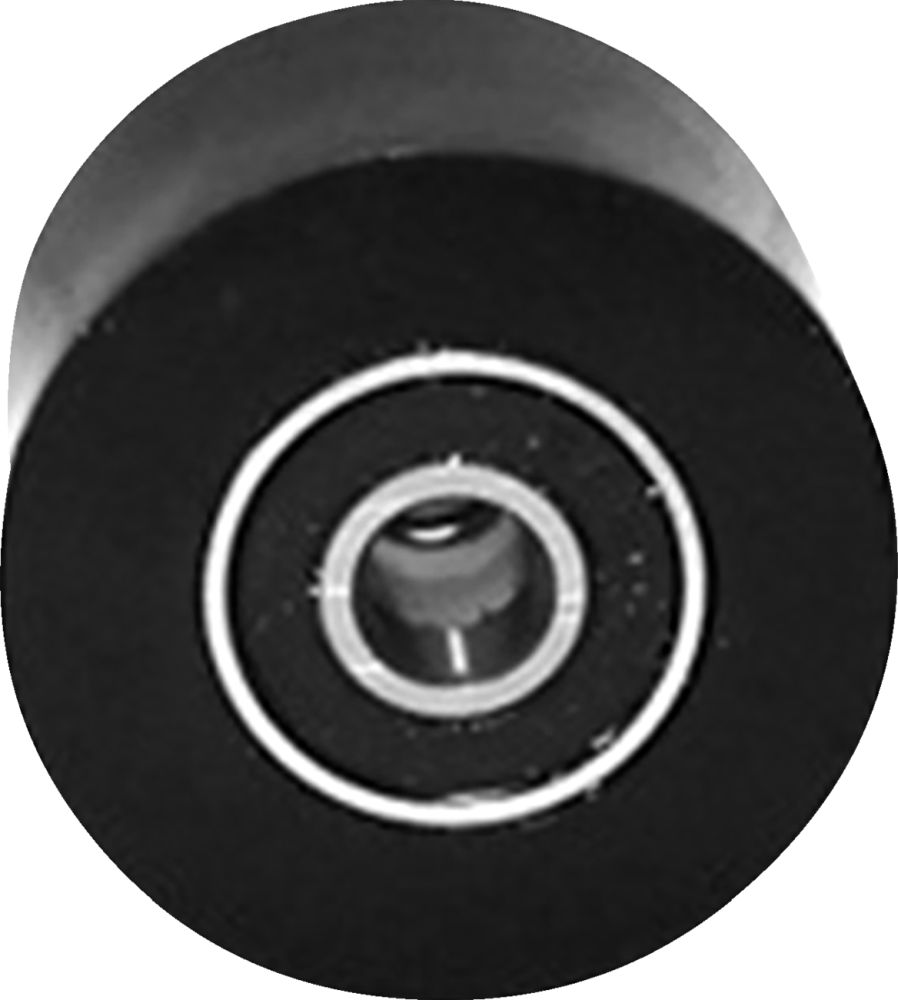 Polisport Chain Roller - 32 mm - Universal Black 8435200001