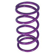 Epi PDS-6  Clutch Spring Polaris Purple