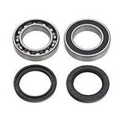 SPI Chain Case Bearing Kit SM-03206