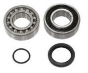 SPI Chaincase Bearing Kit SM-03203