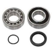 SPI Chaincase Bearing Kit SM-03203