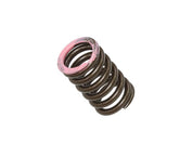 Intake Valve Spring XU-09565IS