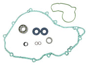 Psychic Water Pump Repair Kit  MX-10265