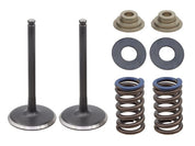 Psychic Exhaust Valve Kit XU-09562IK