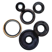 Vertex Oil Seal Kit 822978