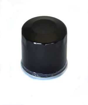 Athena Oil Filter FFP004