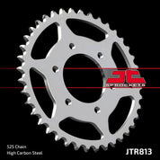 JT Sprockets Rear Steel Sprocket 39 Tooth 39T 525 Chain JTR813.39