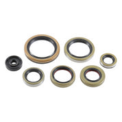 Vertex Oil Seal Kit 822976