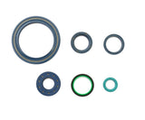 Athena Engine Oil Seal Kit P400110400750
