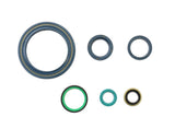 Athena Engine Oil Seal Kit P400110400910
