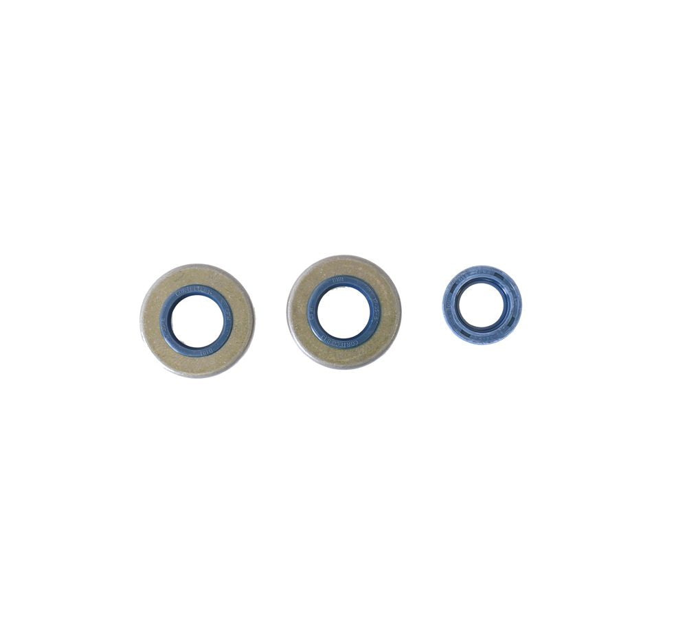 Athena Engine Oil Seal Kit P400150400070