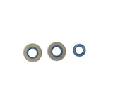 Athena Engine Oil Seal Kit P400150400070