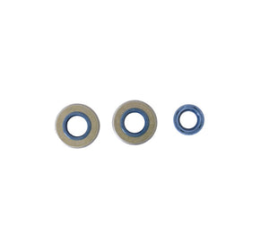 Athena Engine Oil Seal Kit P400150400070