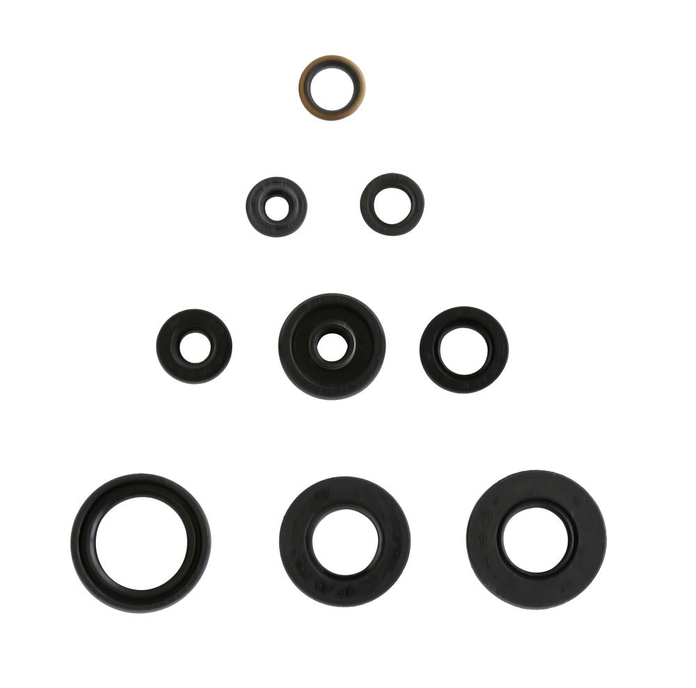 Athena Engine Oil Seal Kit P400485400050