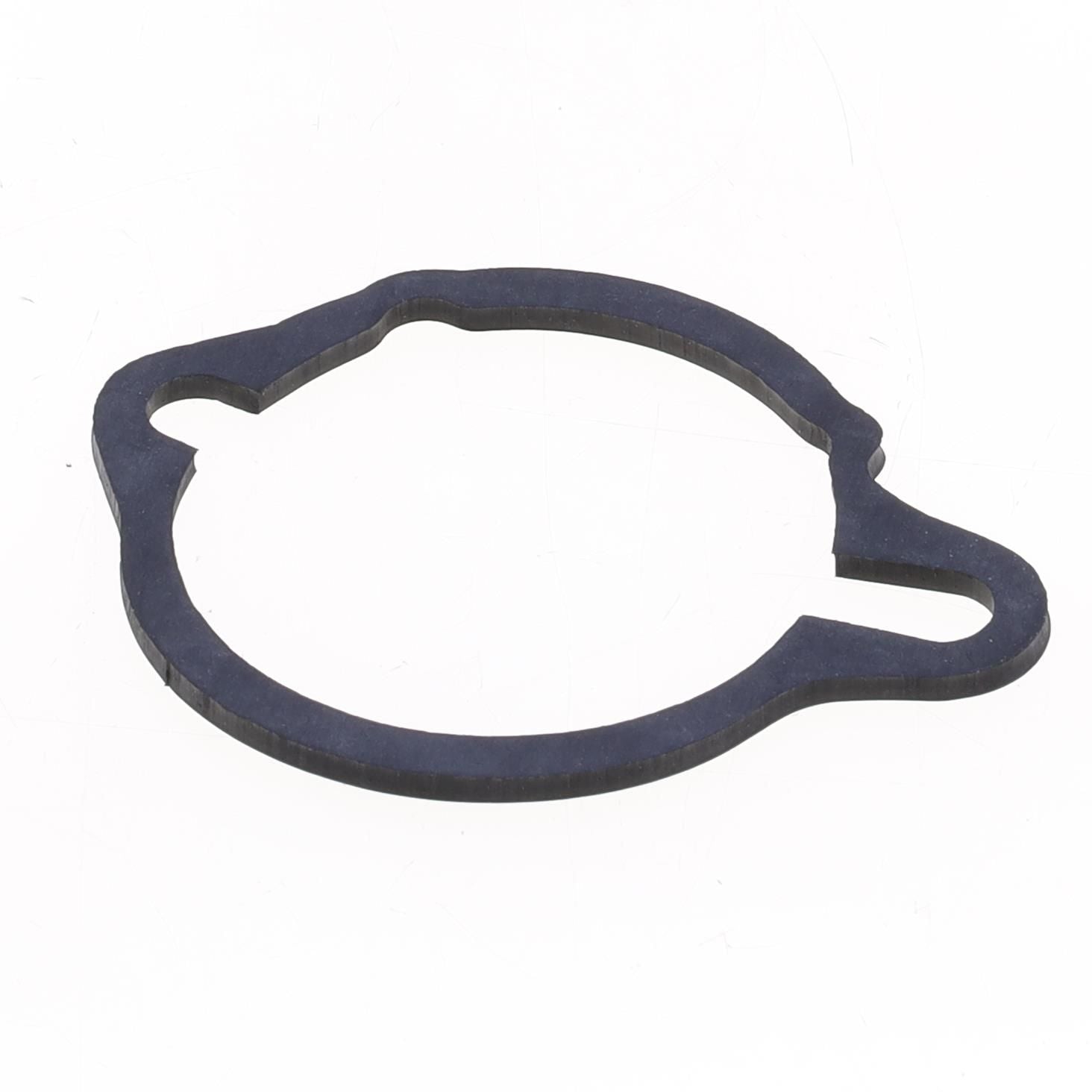 Athena Oil Pump Gasket S410110024002