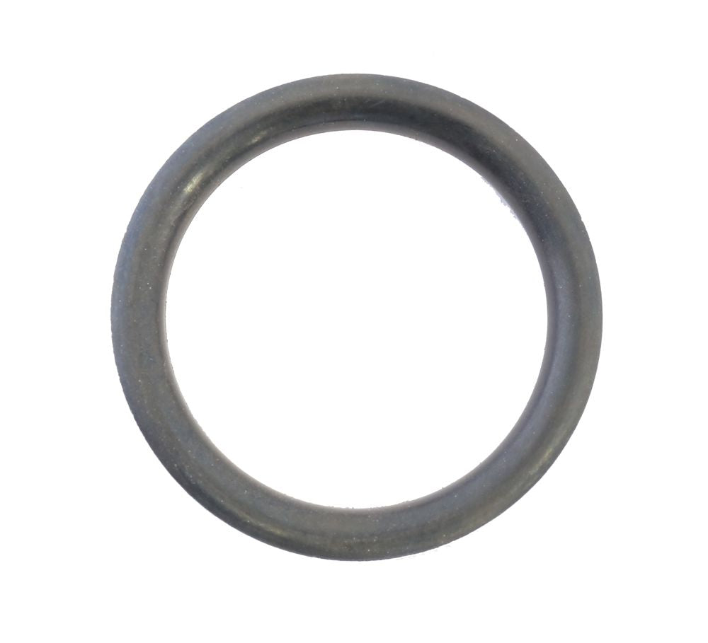 Athena Fuel Cap O-Ring S410195138001