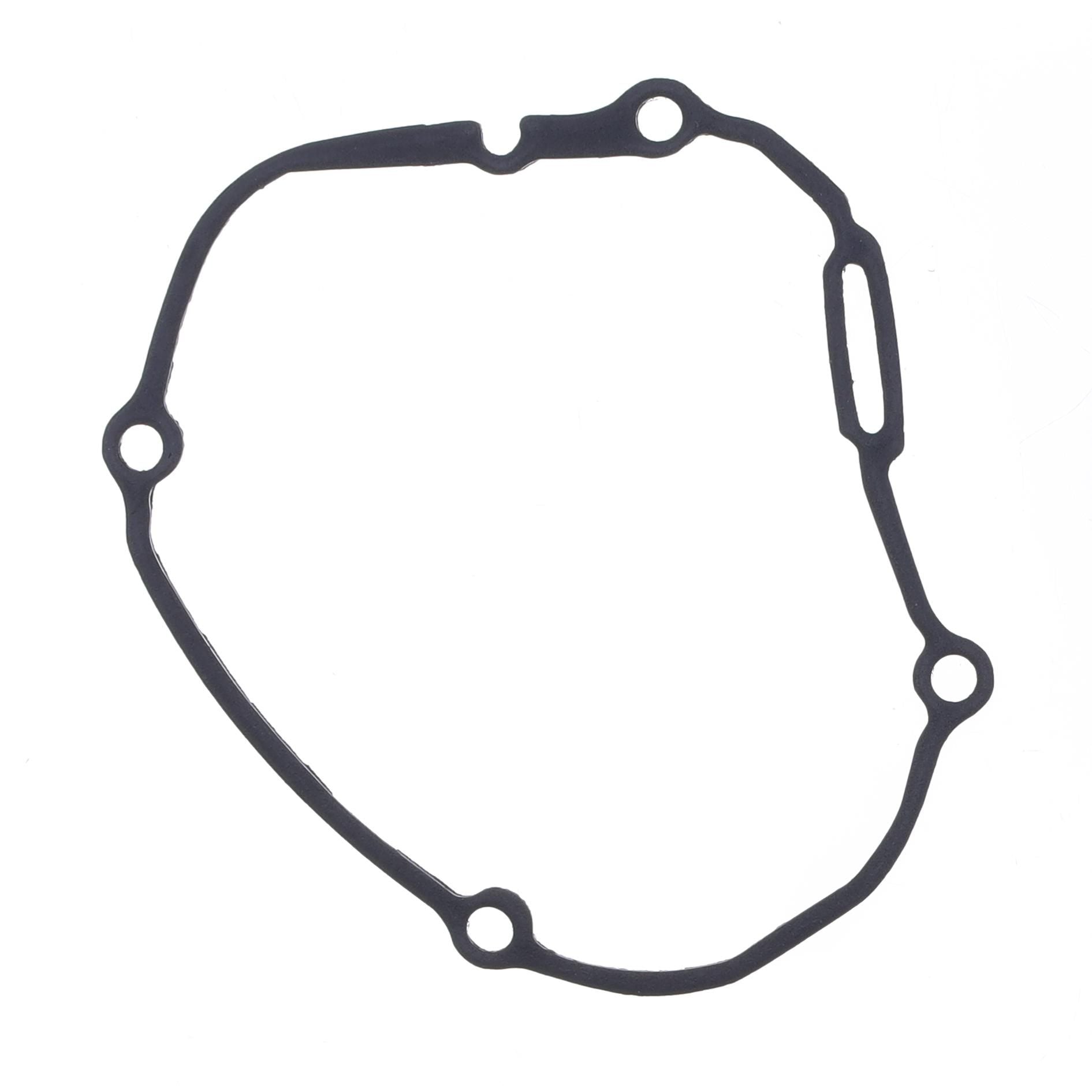 Athena Generator Side Gasket S410485017076