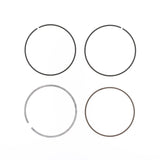 Athena Replacement Ring Set SR1316004