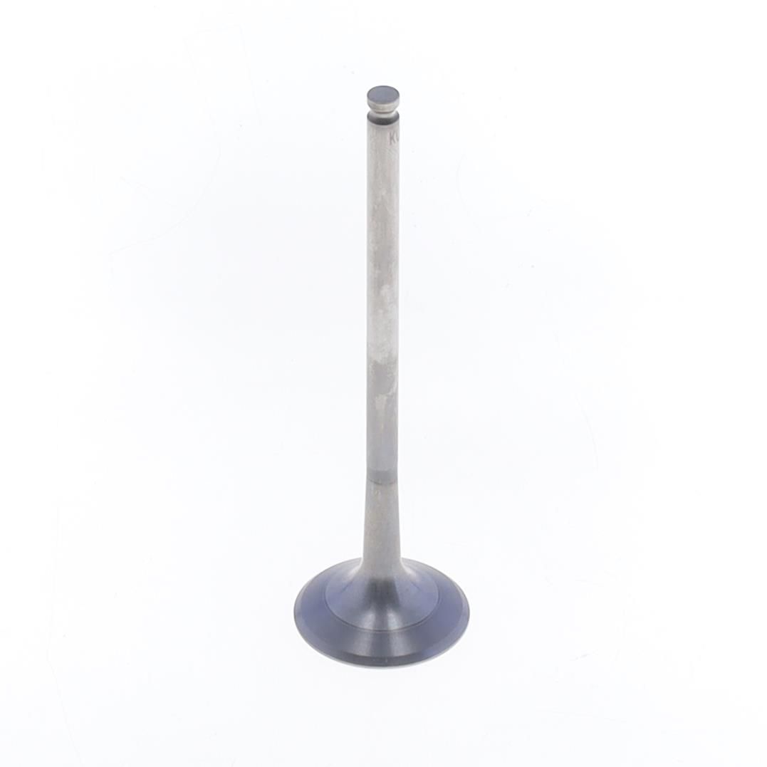 Athena Exhaust Valve VE-270211T