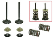 Psychic Products Psychic Intake Valve Kit XU-09539IK