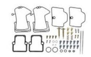SPI Carburetor Repair Kit SM-07668