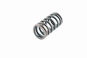 WSM Valve Spring for Yamaha 150 - 350 Hp 4-Stroke 120-360