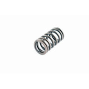 WSM Valve Spring for Yamaha 150 - 350 Hp 4-Stroke 120-360
