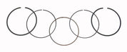 WSM Piston Rings For Honda 420 TRX 07-23 1mm Over 51-231-07