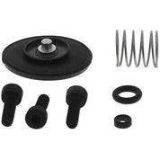 QuadBoss Accelerator Pump Kit - 53463011