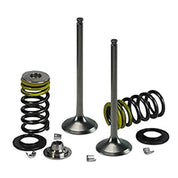Psychic Products Psychic Intake Valve Kit XU-09509IK