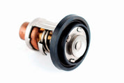 WSM Thermostat for Johnson / Evinrude 185 - 225 Hp 775-107