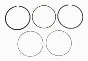 WSM Piston Rings For Honda 680 TRX 06-22 .25mm Over 51-234-04