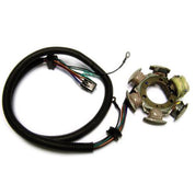 WSM Armature Coil - 004-241