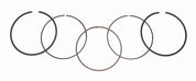 WSM Piston Rings For Honda 420 TRX 07-23 Standard 51-231