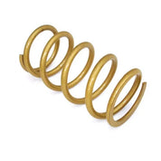 Epi PATV9 Erlandson Clutch Spring ,gold