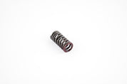 WSM Exhaust Valve Spring for Yamaha 1000 / 1100 010-033