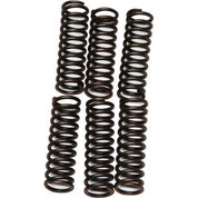 EBC CSK Series Heavy Duty Clutch Spring Kit for Yamaha YZF R6 1999-2002