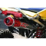 Big Gun Exhaust EVO R Series Slip On Exhaust - 09-5462