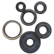 Vertex Oil Seal Kit 822881