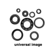 Vertex Jet Pump Seal Kit 623108