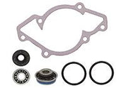 SPI Water Pump Repair Kit 10-721258