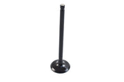 WSM Exhaust Valve for Yamaha 115 Hp 4-Stroke 14-21 120-264