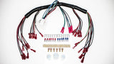 Intellitronix 10 Circuit Universal Gauge Wire Harness FP30302 FP30302