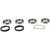 Pivot Works Rear Wheel Bearing Kit PWRWK-C09-000