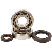 Hot Rods Rod Bearings RBPL-005G