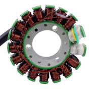 RMStator Stator RM01316