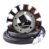 Estator del generador RMStator RM01527